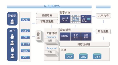 海關扣貨別慌張，數據支持來護航